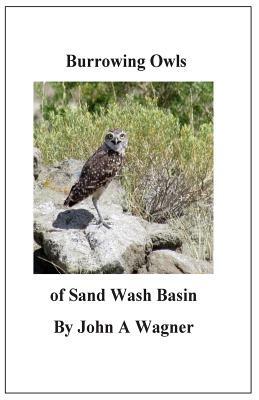 Burrowing Owls of Sand Wash Basin by John A. Wagner