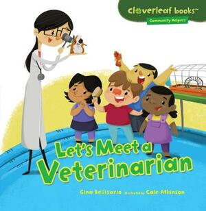 Let's Meet a Veterinarian by Gina Bellisario