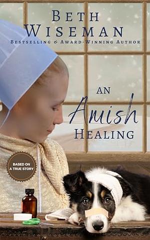 An amish healing by 