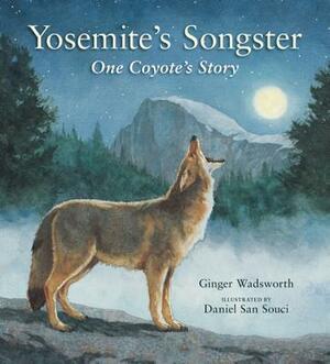 Yosemite's Songster: One Coyote's Story by Ginger Wadsworth