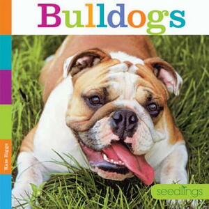 Bulldogs by Kate Riggs