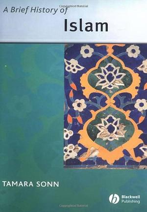 A Brief History of Islam by Mary Williamsburg, Tamara Sonn, Tamara Sonn