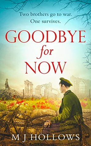 Goodbye for Now by M.J. Hollows