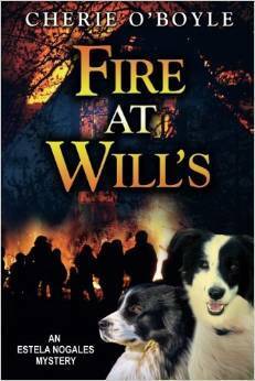 Fire at Will's by Cherie O'Boyle