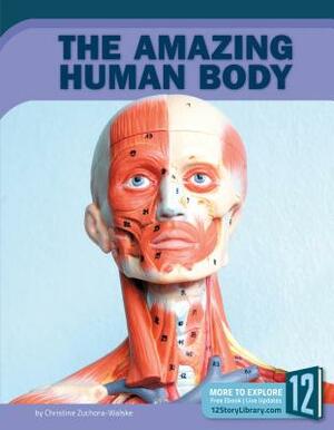 The Amazing Human Body by Christine Zuchora-Walske