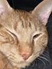pablolopez's profile picture