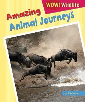 Amazing Animal Journeys by Alix Wood