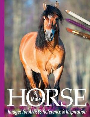 Horse and Mule Images for Artist's Reference and Inspiration by Sarah Tregay