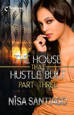 The House That Hustle Built 3 by Nisa Santiago