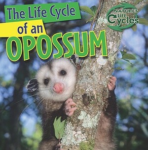 The Life Cycle of an Opossum by Barbara M. Linde