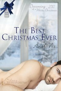 The Best Christmas Ever by Anel Viz