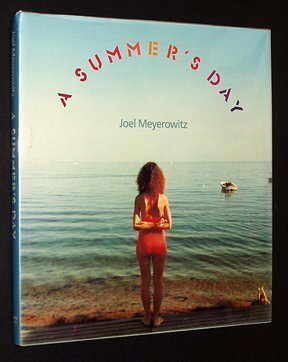A Summer's Day by Joel Meyerowitz
