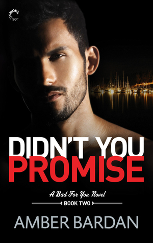 Didn't You Promise? by Amber A. Bardan