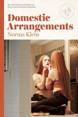 Domestic Arrangements by Norma Klein