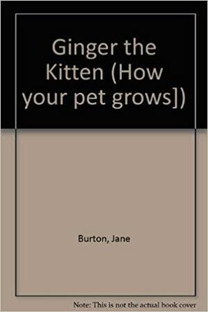 Ginger the Kitten by Jane Burton