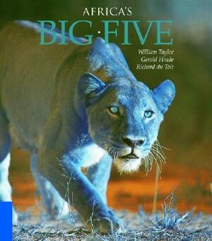 Africa's Big Five by Gerald Hinde, Richard Du Toit, William Taylor
