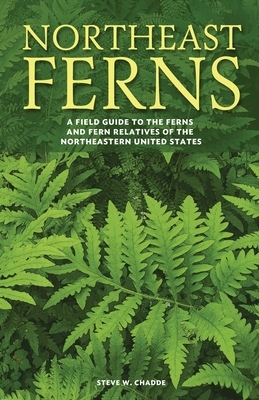 Northeast Ferns: A Field Guide to the Ferns and Fern Relatives of the Northeastern United States by Steve W. Chadde