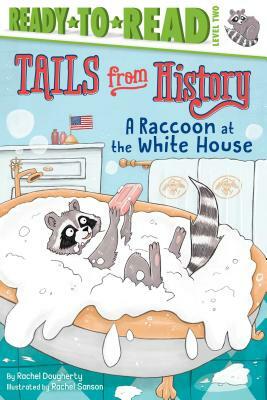 A Raccoon at the White House by Rachel Dougherty
