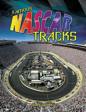 Famous NASCAR Tracks by Jim Gigliotti