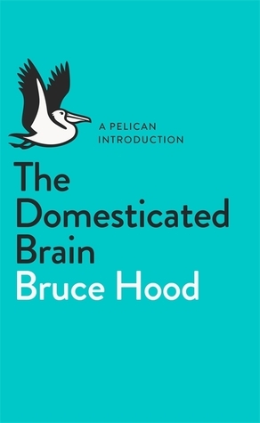 The Domesticated Brain by Bruce M. Hood