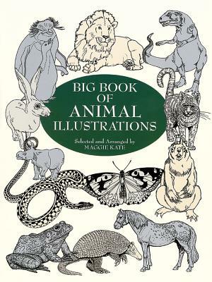 Big Book of Animal Illustrations by 