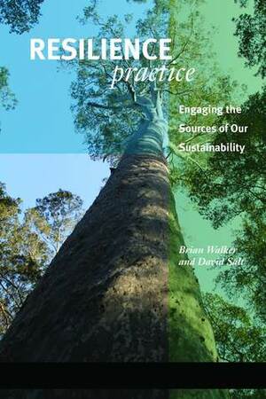 Resilience Practice: Building Capacity to Absorb Disturbance and Maintain Function by David Salt, Brian Walker