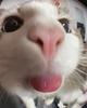 jadeee_777's profile picture