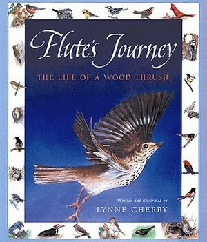 Flute's Journey: The Life of a Wood Thrush by Lynne Cherry