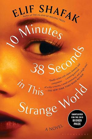 10 Minutes 38 Seconds in This Strange World by Elif Shafak