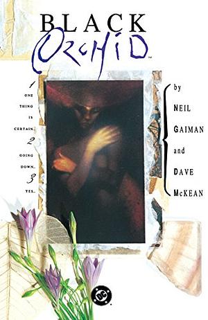 Black Orchid by Neil Gaiman, Dave McKean