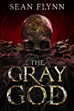 A Gray God : A Novel by Sean Flynn