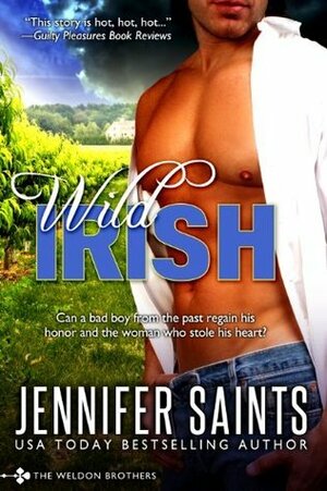 Wild Irish Ride: A Southern Steam Novel by Jennifer Saints