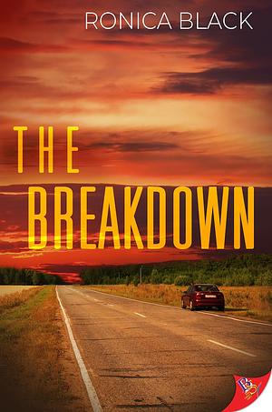 The Breakdown by Ronica Black