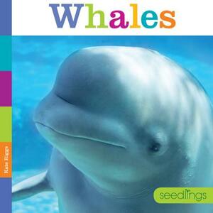 Seedlings: Whales by Kate Riggs