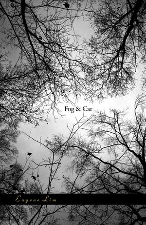 Fog & Car by Eugene Lim