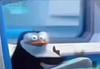 yuner_is_reading_peak's profile picture