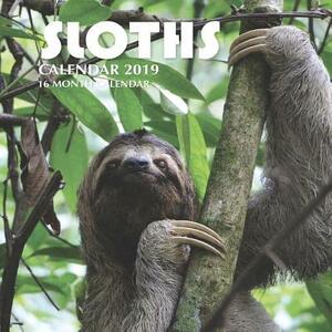 Sloths Calendar 2019: 16 Month Calendar by Mason Landon
