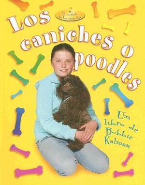 Los Caniches O Poodles = Poodles by Bobbie Kalman, Kelley MacAulay