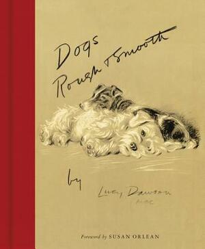 Dogs Rough and Smooth by Lucy Dawson