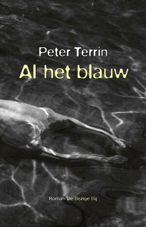 Al het blauw by Peter Terrin