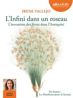 L'infini dans un roseau by Irene Vallejo