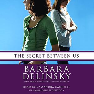 The secret between us by Rima Aidietė, Barbara Delinsky