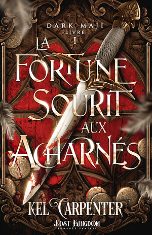 Dark Maji, tome 1 : La fortune sourit aux acharnés by Kel Carpenter, Lucinda Dark