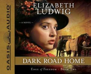 Dark Road Home by Elizabeth Ludwig