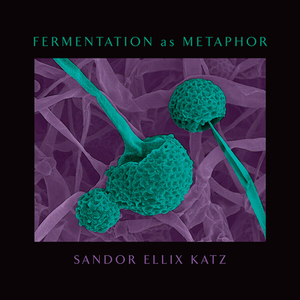 Fermentation as Metaphor: Follow Up to the Bestselling "the Art of Fermentation" by Sandor Ellix Katz