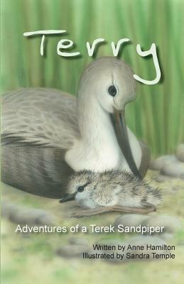 Terry: Adventures of a Terek Sandpiper by Anne Hamilton