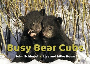 Busy Bear Cubs by John Schindel