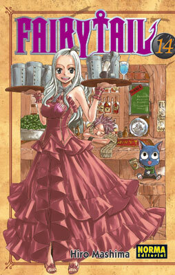 FAIRY TAIL 14 by Hiro Mashima