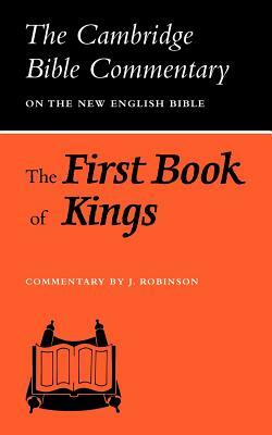 The First Book of Kings by J. Robinson