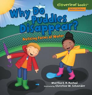 Why Do Puddles Disappear?: Noticing Forms of Water by Christine Schneider, Martha E.H. Rustad